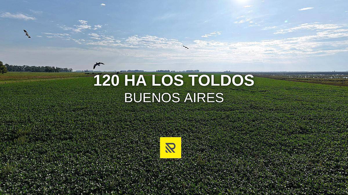 120 Ha los Toldos