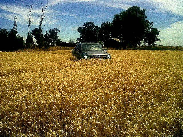 Se Venden 1000 Has Agricolas Exc. Sudoeste de Prov de BS AS