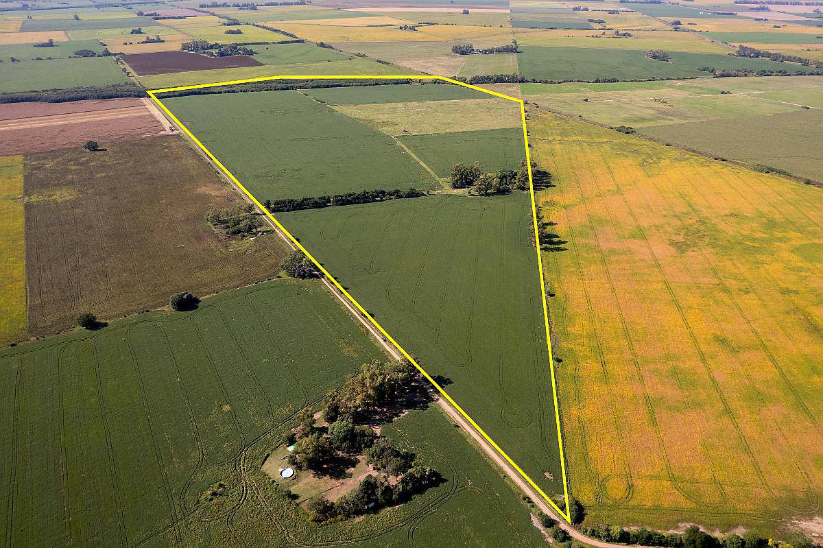Campo en Venta Arrecifes 93ha