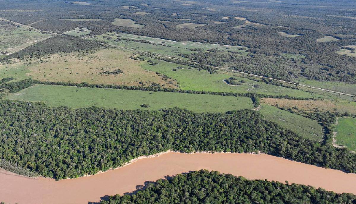 1.800ha Agricolaganaderas en General San Martin, Chaco