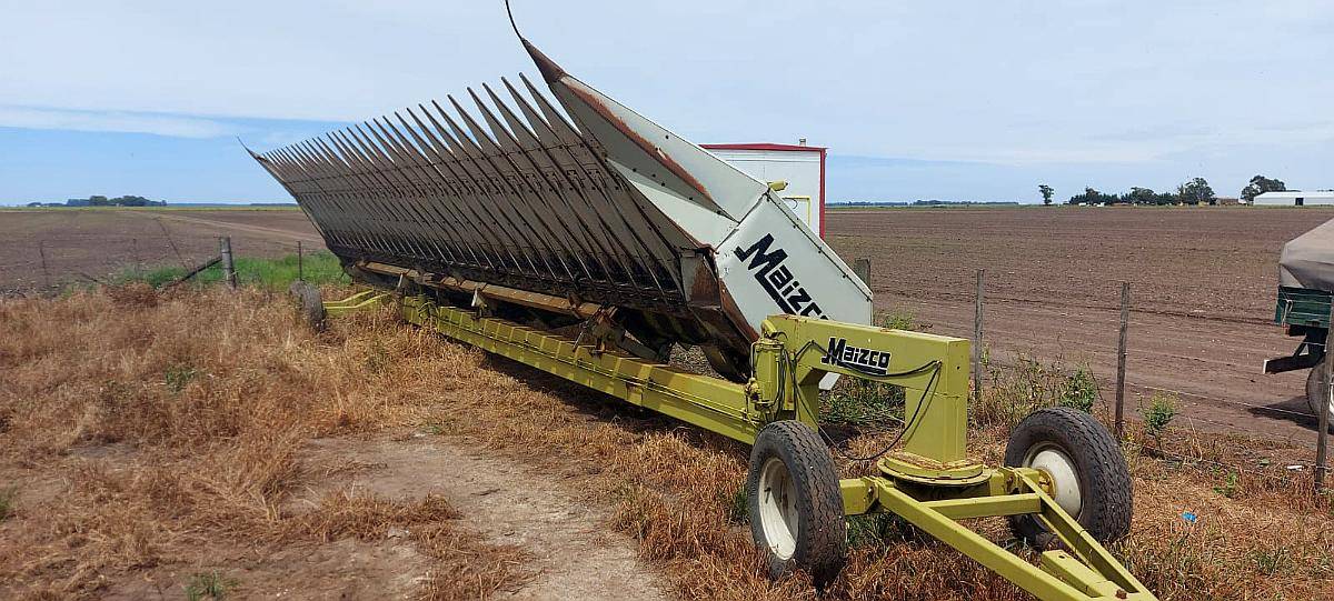 Girasolero Maizco Mxiii 16 a 70 cm – Buen Estado General