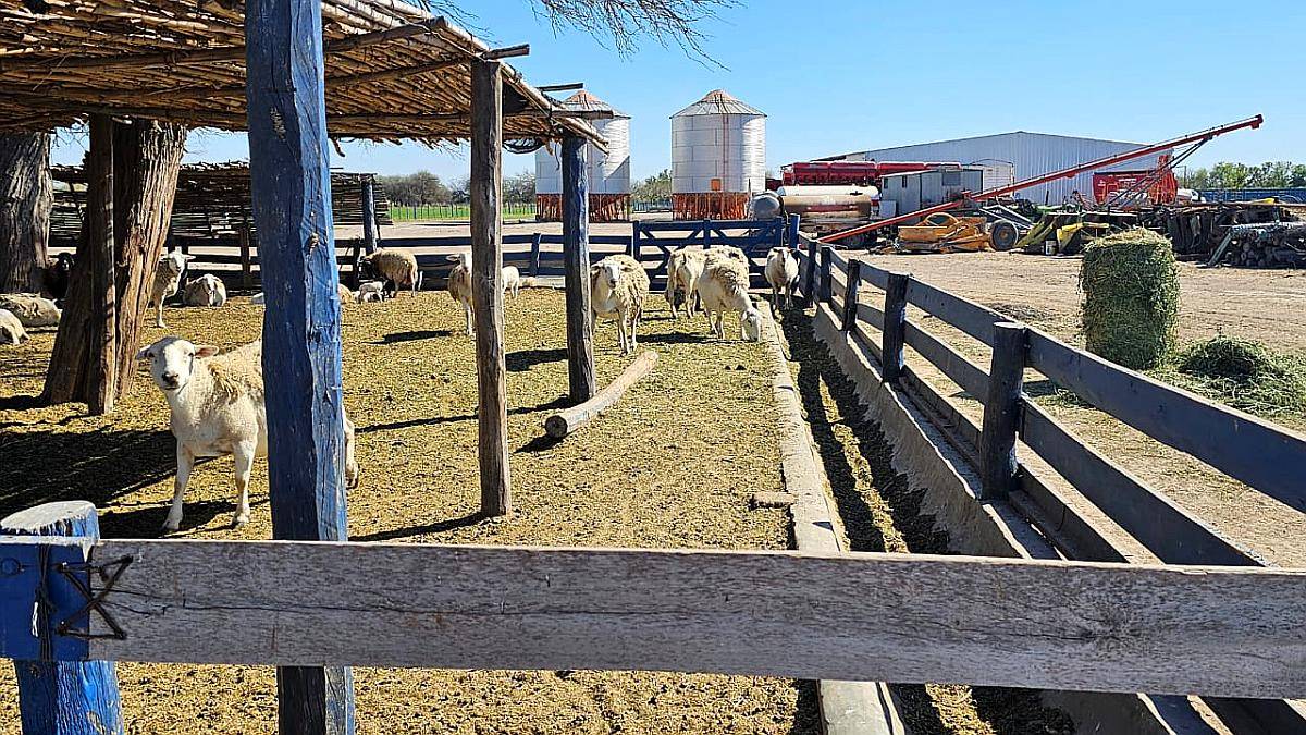 Impecable Feed LOT Cercano a la Banda, Santiago.