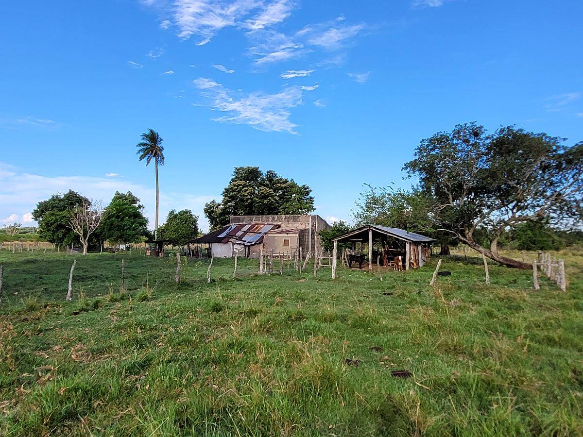 Venta de 25 Has en Mercedes (corrientes) en Zona Urbana