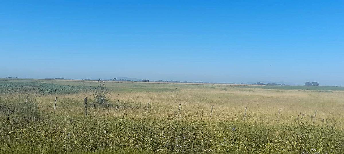 Campo Agricola 190 Ha Ayacucho