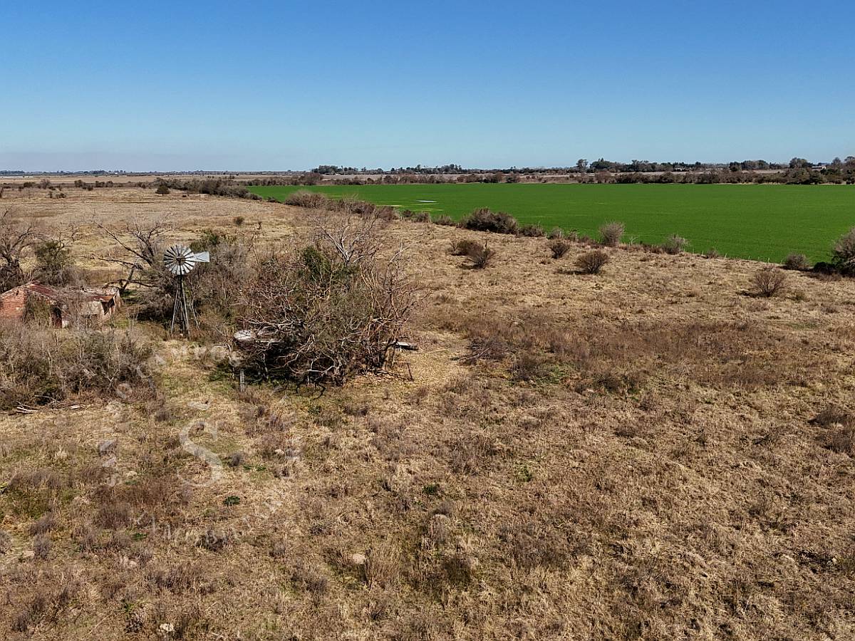 Candioti, Santa FE. 66 HA. Campo Mixto. Sobre Ripio.