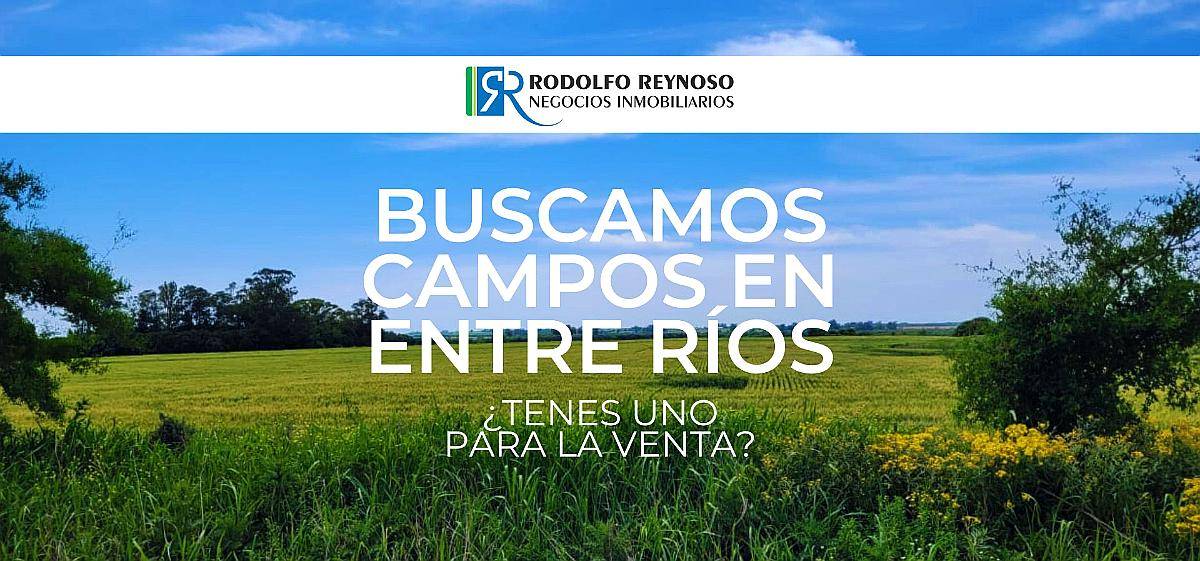 Buscamos Campos en Entre Ríos