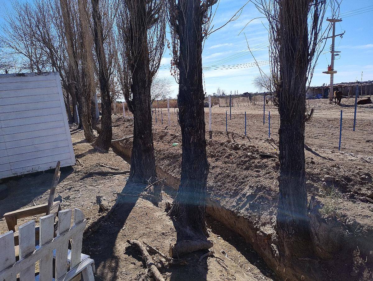 Finca de 140 Has Excelente Calidad de Tierra Cochagual Sjuan