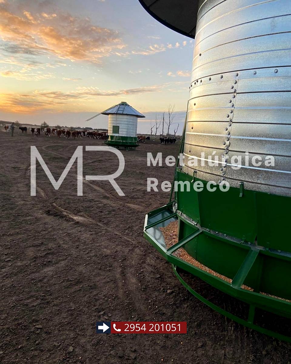 Silo de Autoconsumo de 12 Toneladas,