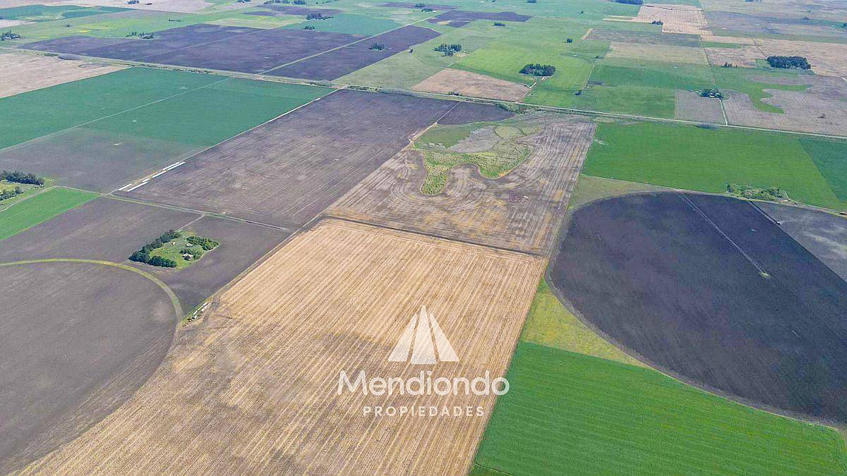 100 Has Agrícolas en Mechongué, Gral. Alvarado