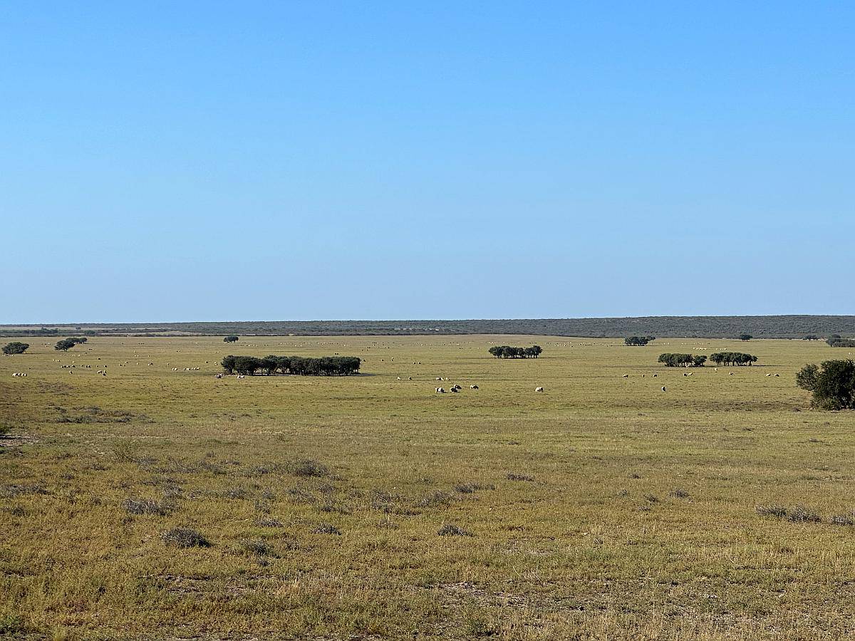 5021 Has. Patagones - Rio Negro