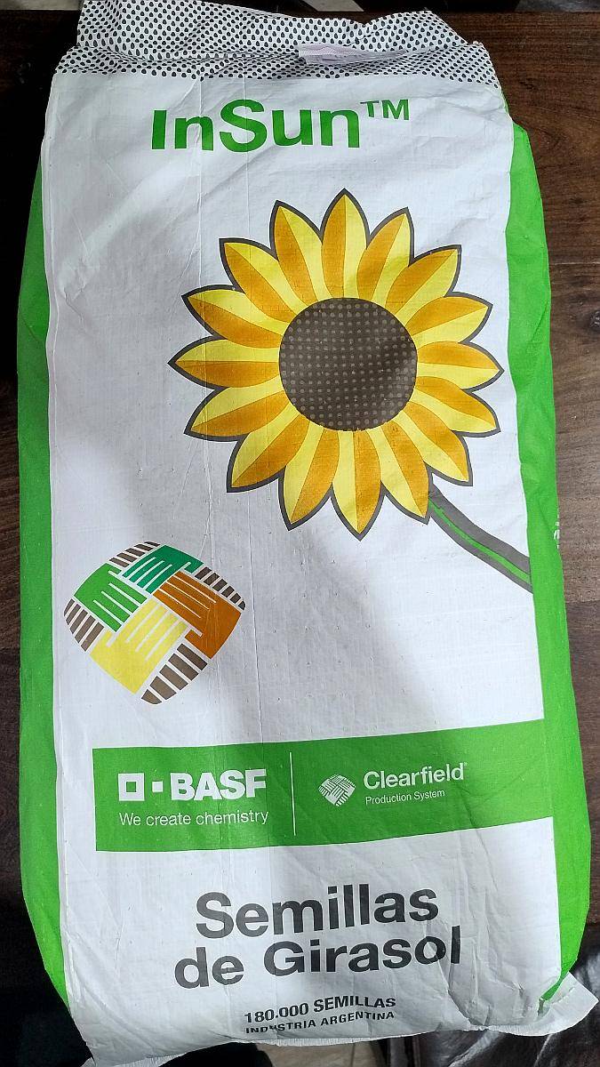 Semilla de Girasol Basf