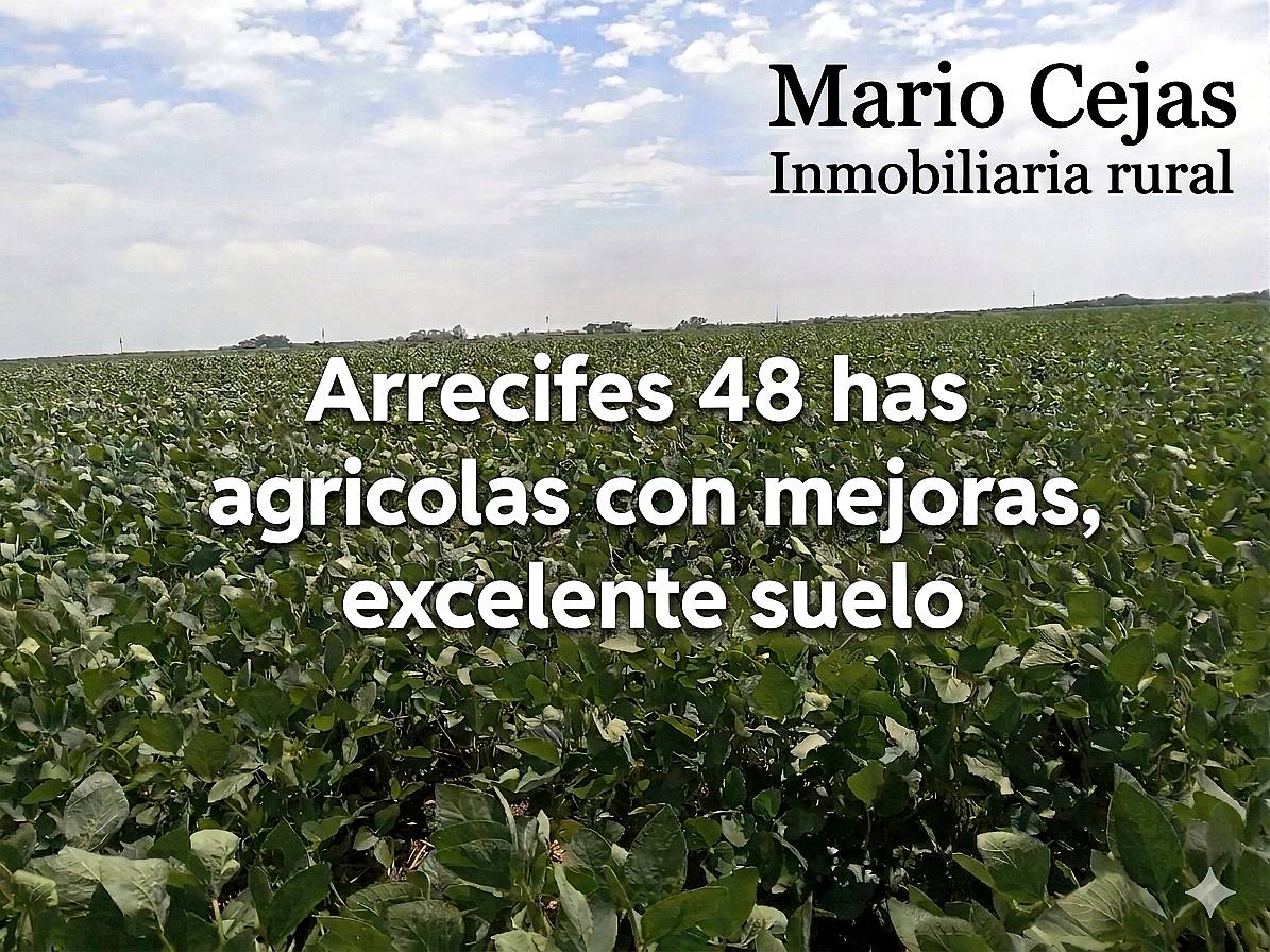 Arrecifes 48 Has Agrícolas con Mejoras, Excelente Suelo.