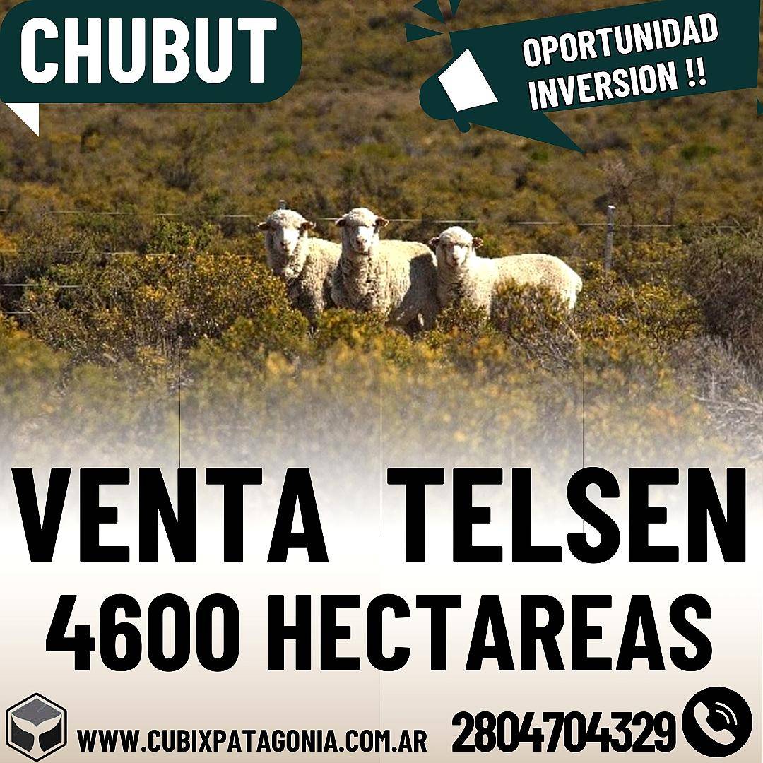 Venta Campo Telsen Chubut 4600 Hectáreas