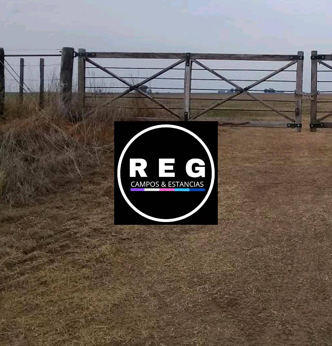 200 Hectareas En Caruhe BS AS U s 2 300 Ha Agroads 200-hectareas-en-caruhe-bs-as-u-s-2-300-ha-agroads