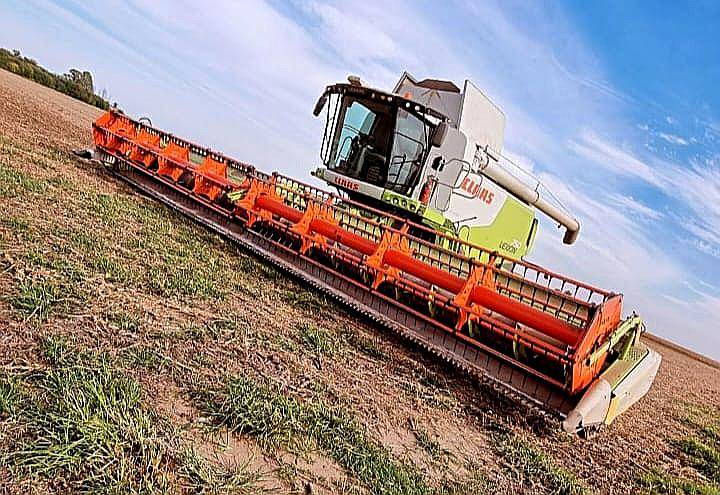 Cosechadora Claas Lexion 750
