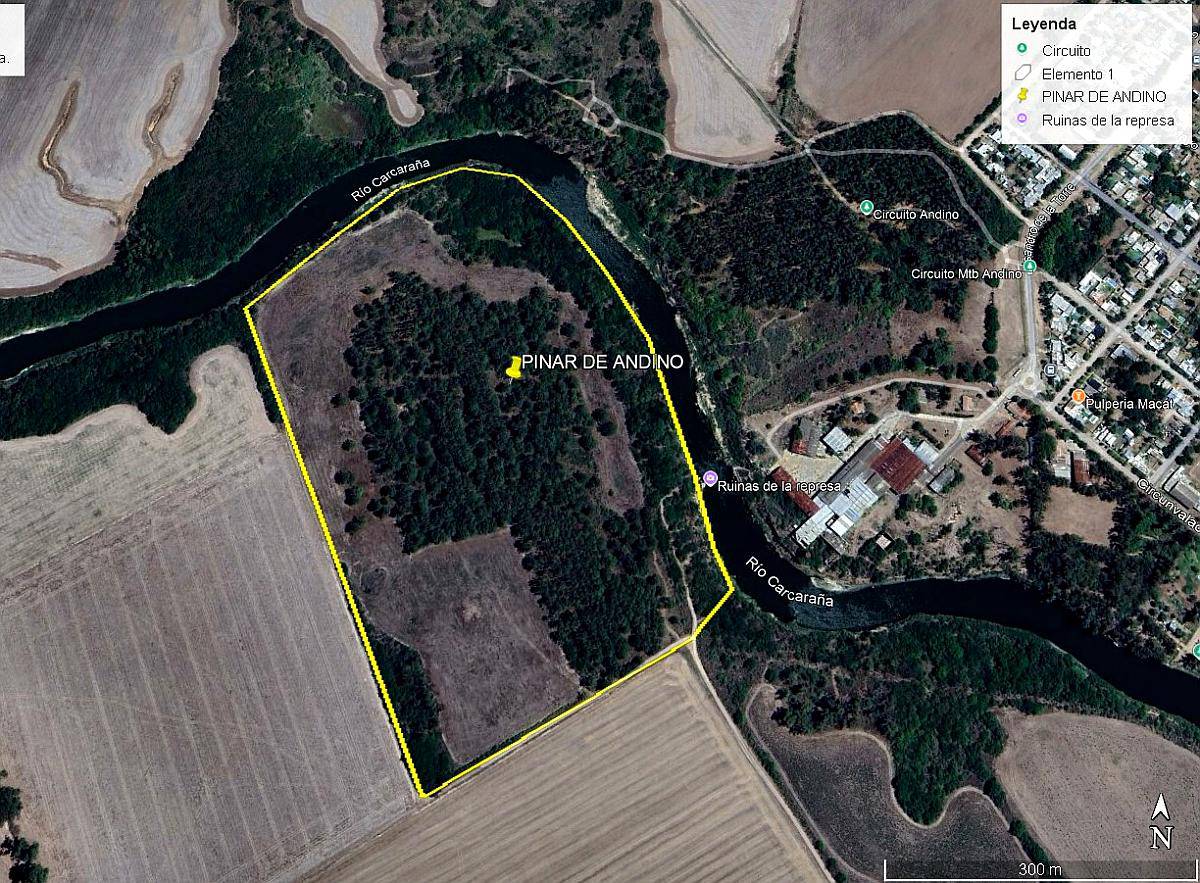 Pinar de Andino 21 Ha - 50 % Agrícola 50 % Bosque de Pinos