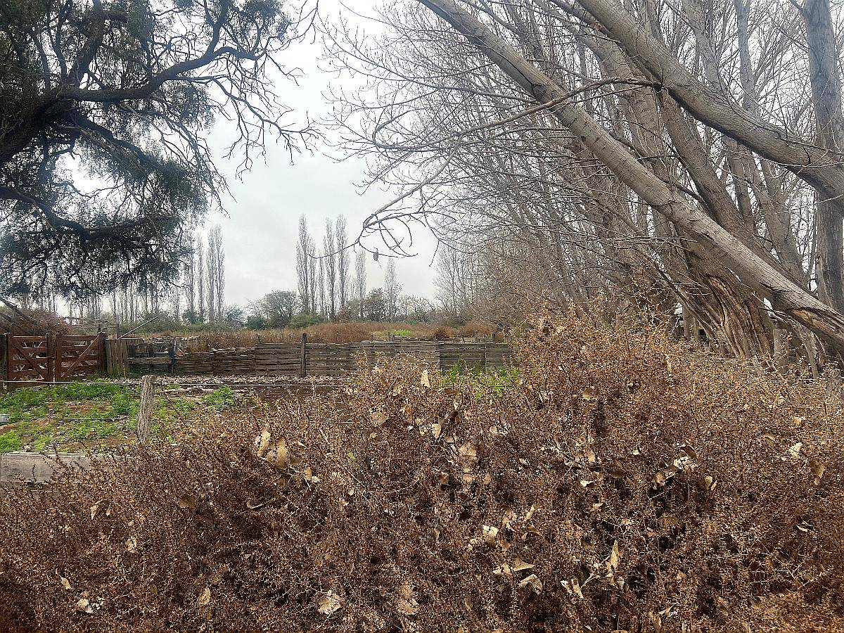 Campo para Vacas y Siembra de Asfalfa 1400 Hectáreas Mil DOL