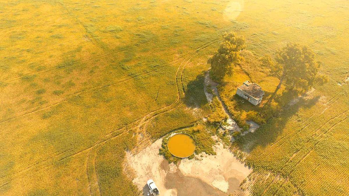 Campo en Venta en Colonia Castelar, Santa FE