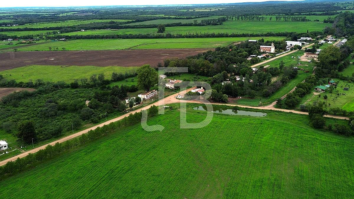 Campo Agrícola 35 Has, Cañada de Río Pinto. Escritura