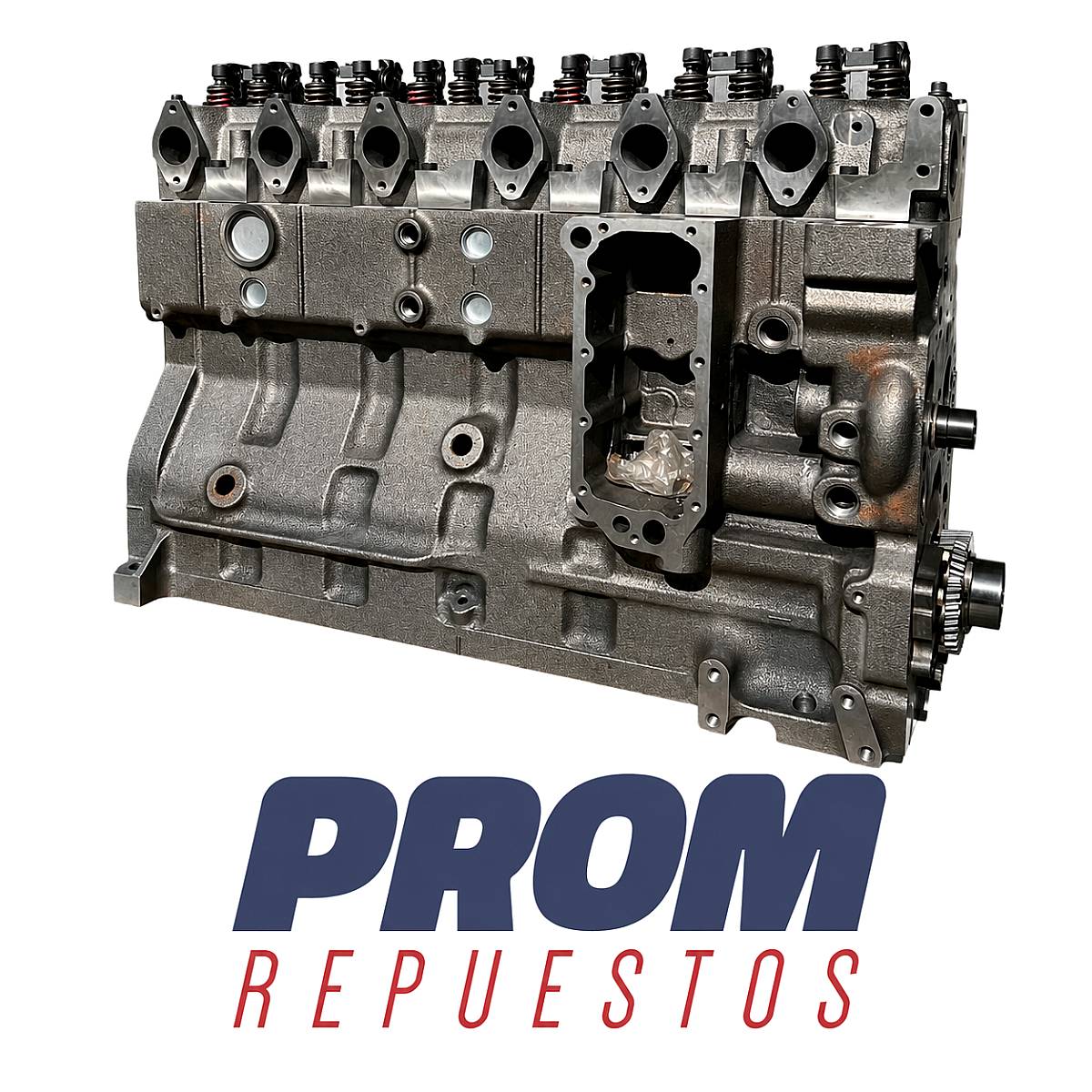 Motor Cummins 6ct 8.3cc - Ford Cargo - VW 310 - Zanello