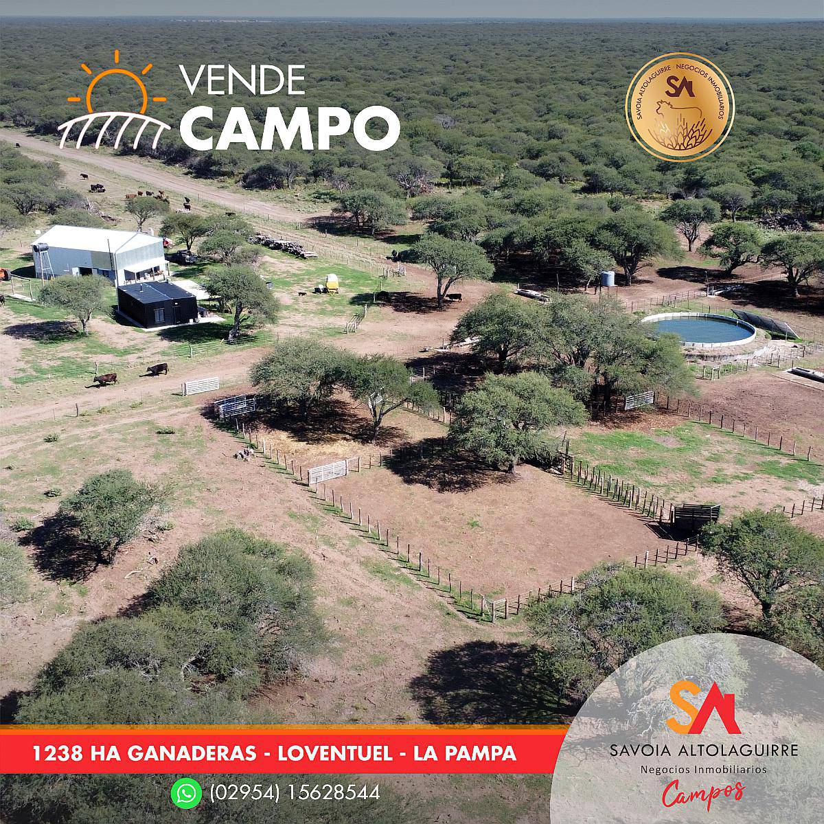 Vende: Campo Ganadero de 1.238 Hectáreas en Loventuel, la PA