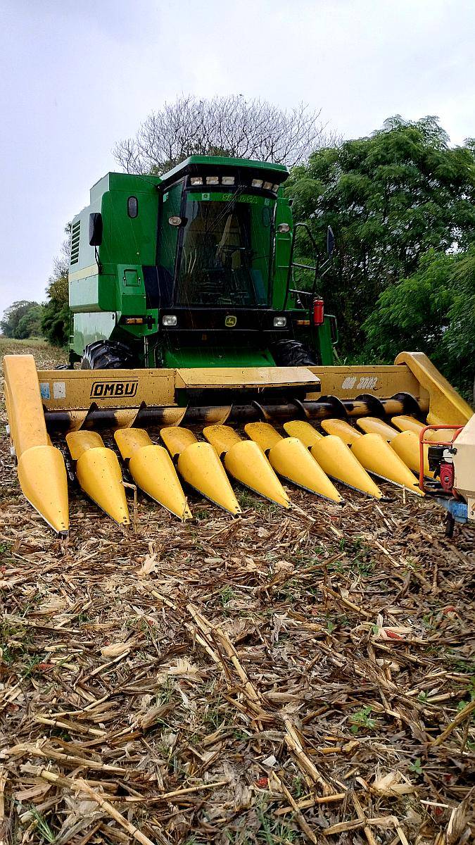 Maicero Ombu 10/52 2005