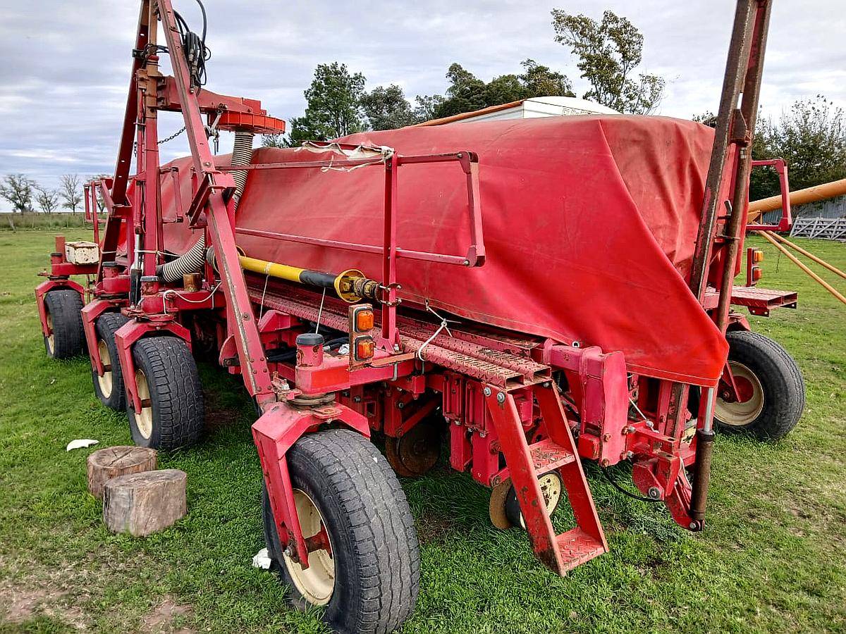 Giorgi Precisa 8000 Neumatica