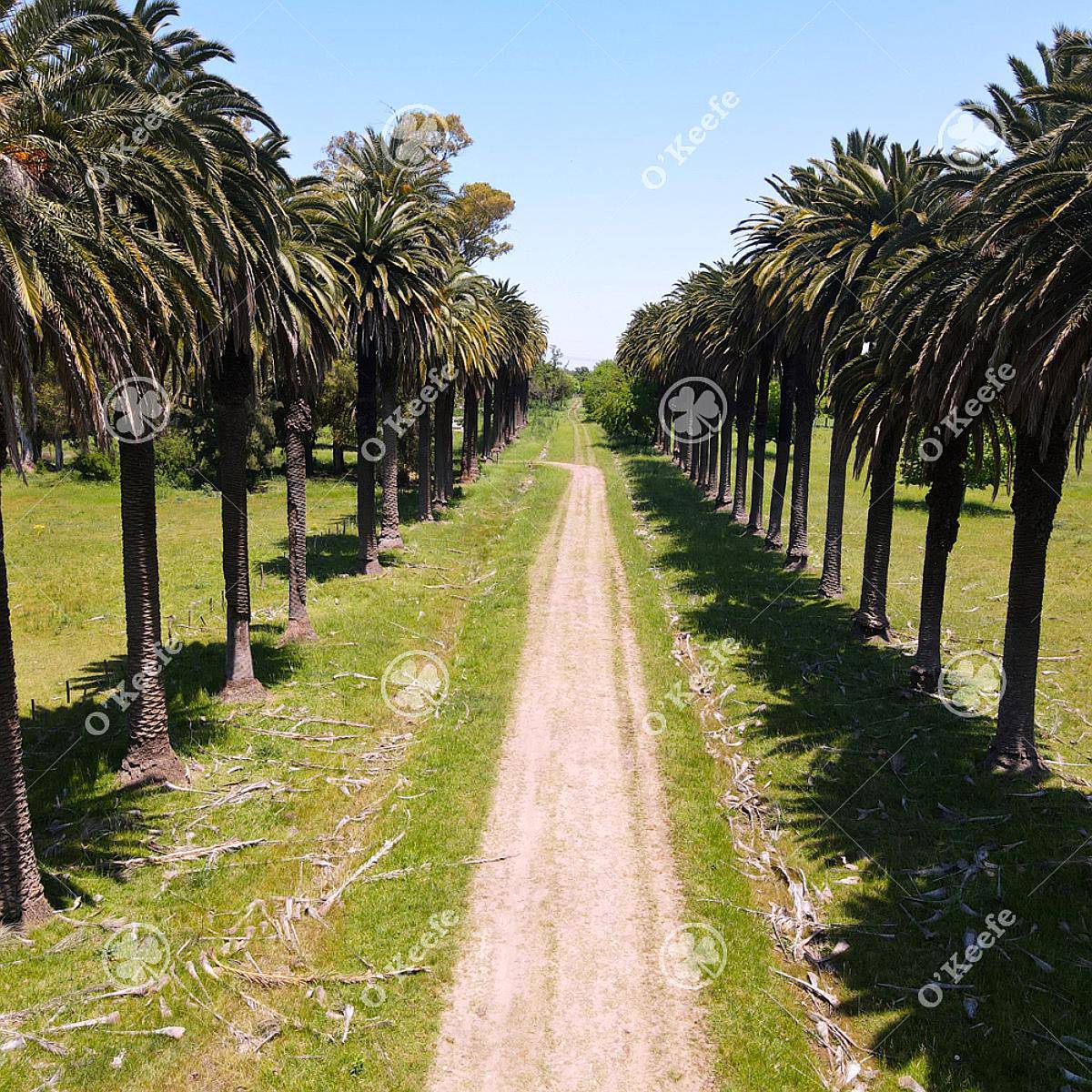 Campo en Venta de 256 Has Sobre Ruta 2 - Ideal Desarrollo