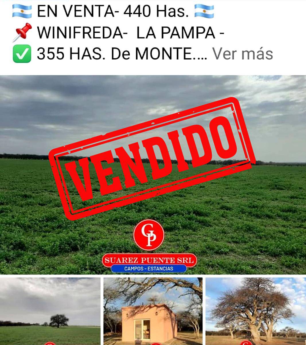 En Venta 440 Has, Winifreda la Pampa.-