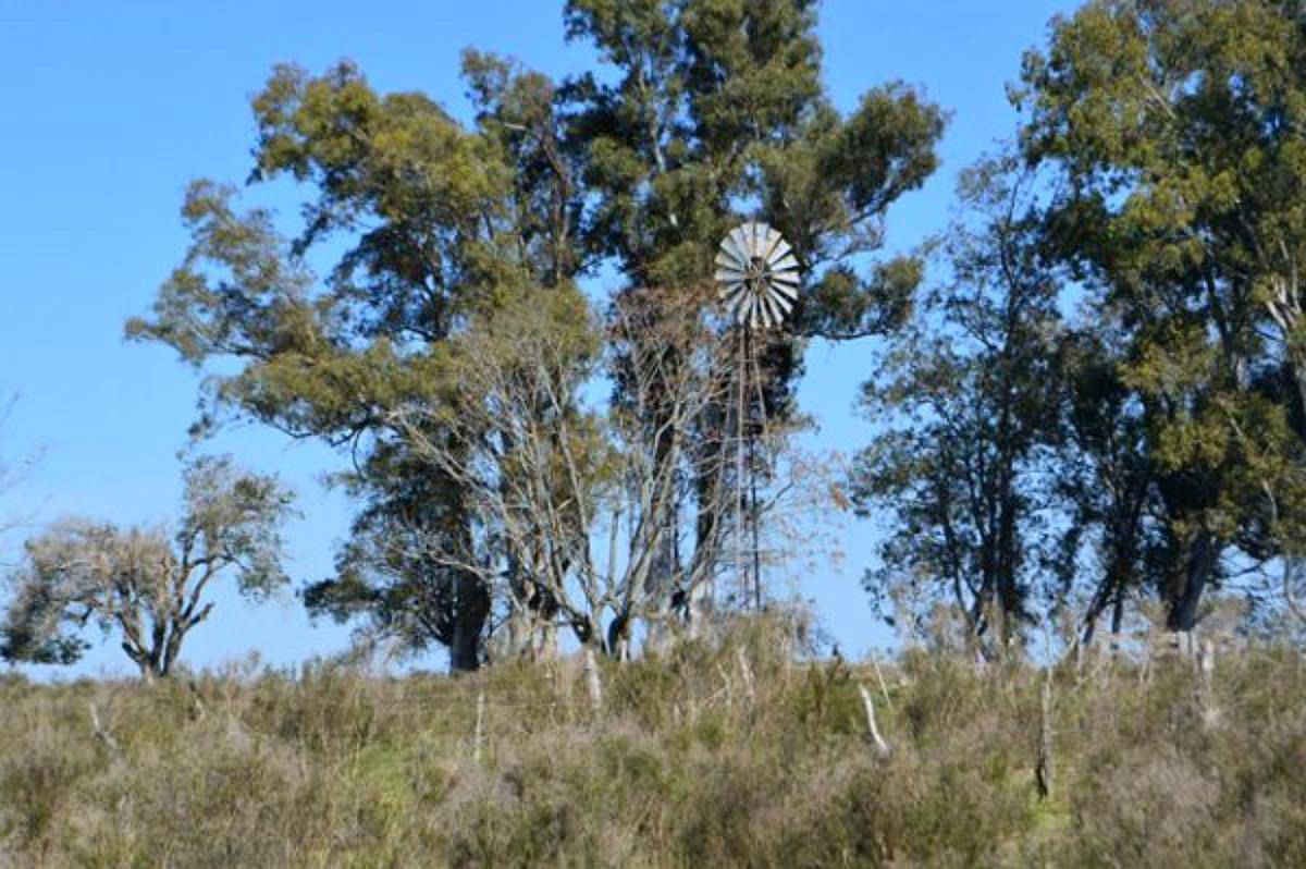 4.5 HA. en Dto. Colón