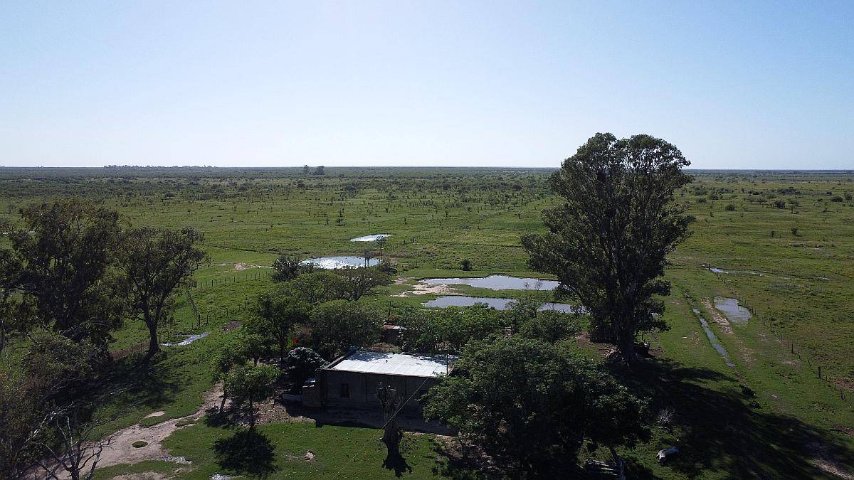 Venta / Campo Ganadero / Huanqueros / 1385 Ha