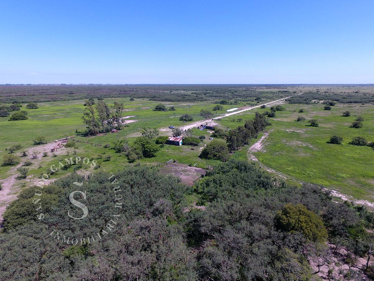Campo Ganadero. 2.750 HA. Ambrosetti, Santa FE.