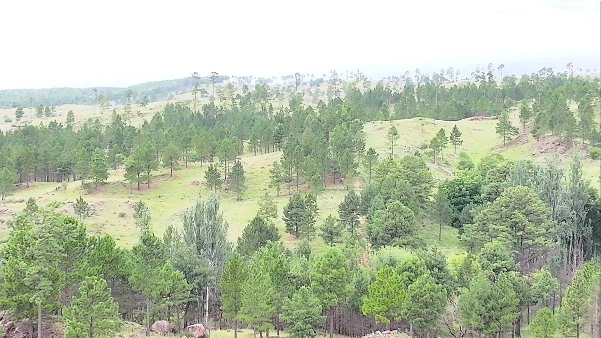 Cordoba Villa Alpina 240 Has