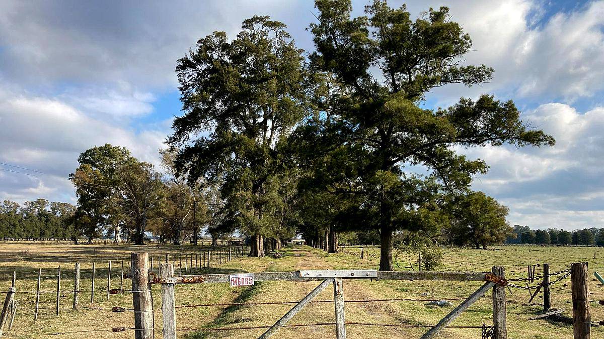 Venta Campo Sobre Ruta 41 San Miguel del Monte
