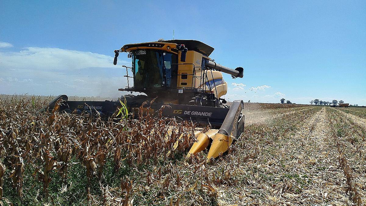 Servicios de Cosecha y Siembra