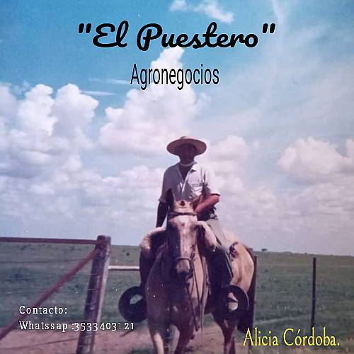 Campo en Alquiler, ( Disponible Urgente)