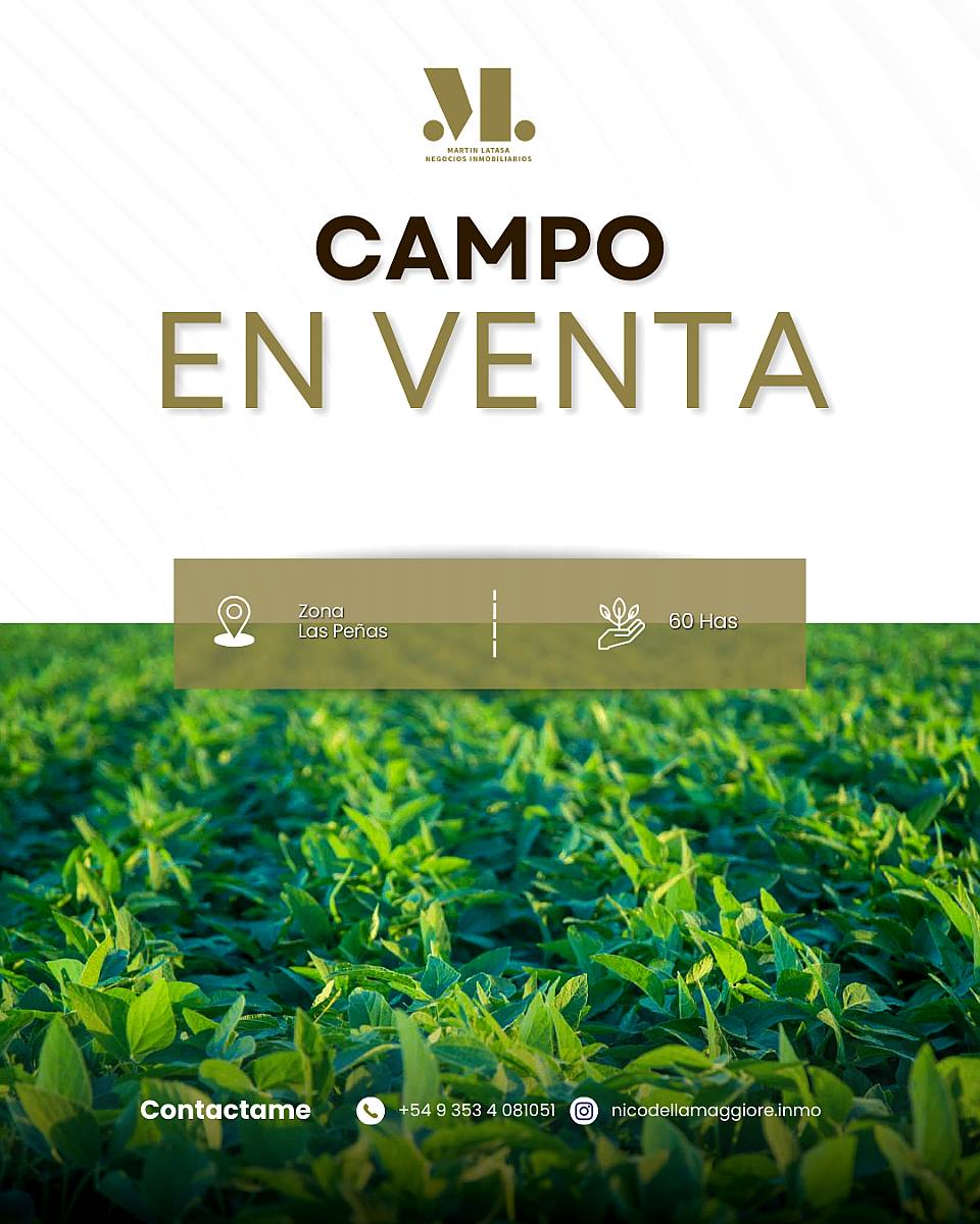 Vendo 60has Suelo III Zona las Peñas