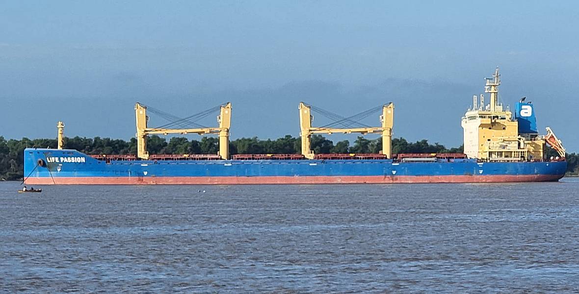 Puerto Lote de 890mts Frente Río Parana Ramallo San Nicolas