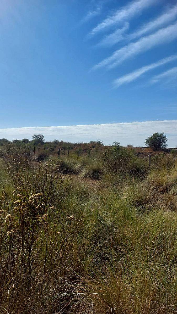 Muy Buen Campo en el Nochero