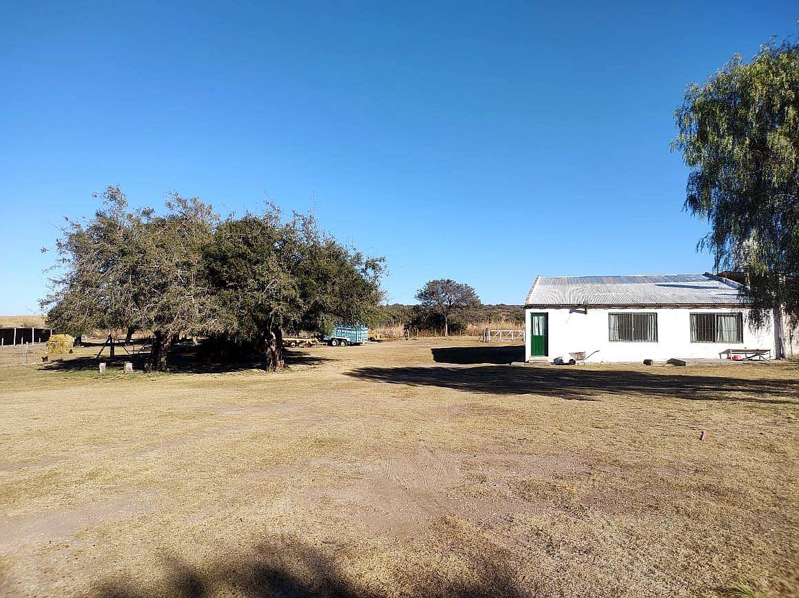 Alquiler o Venta Ganadero Potrerillo (san Luis) 180 Has