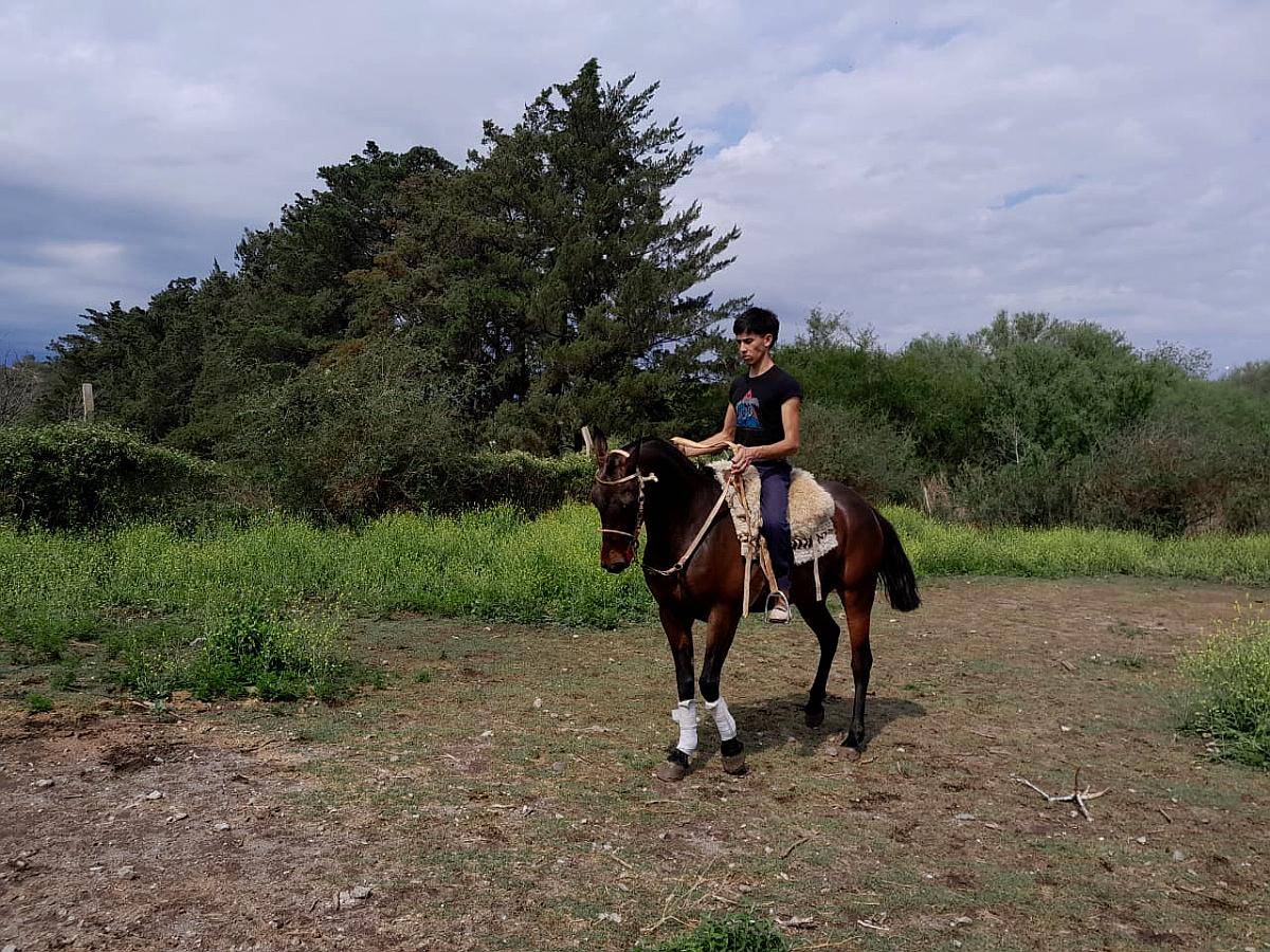 Vendo Yegua Zaina Colorada de 5 Años de Andar muy Buena