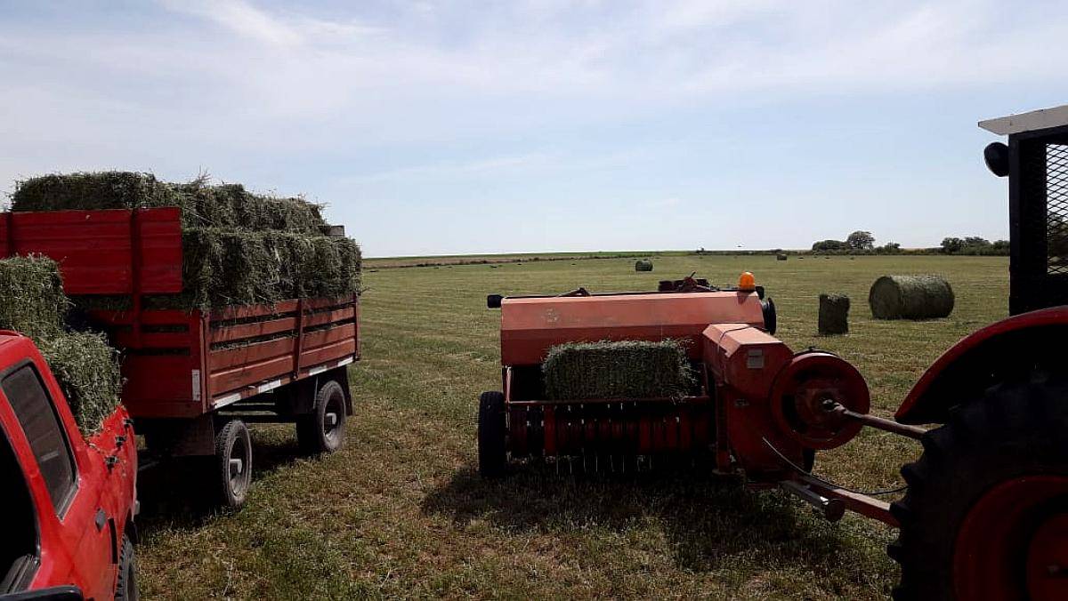 Enfardadora de Fardo Cuadrado en Buen Estado