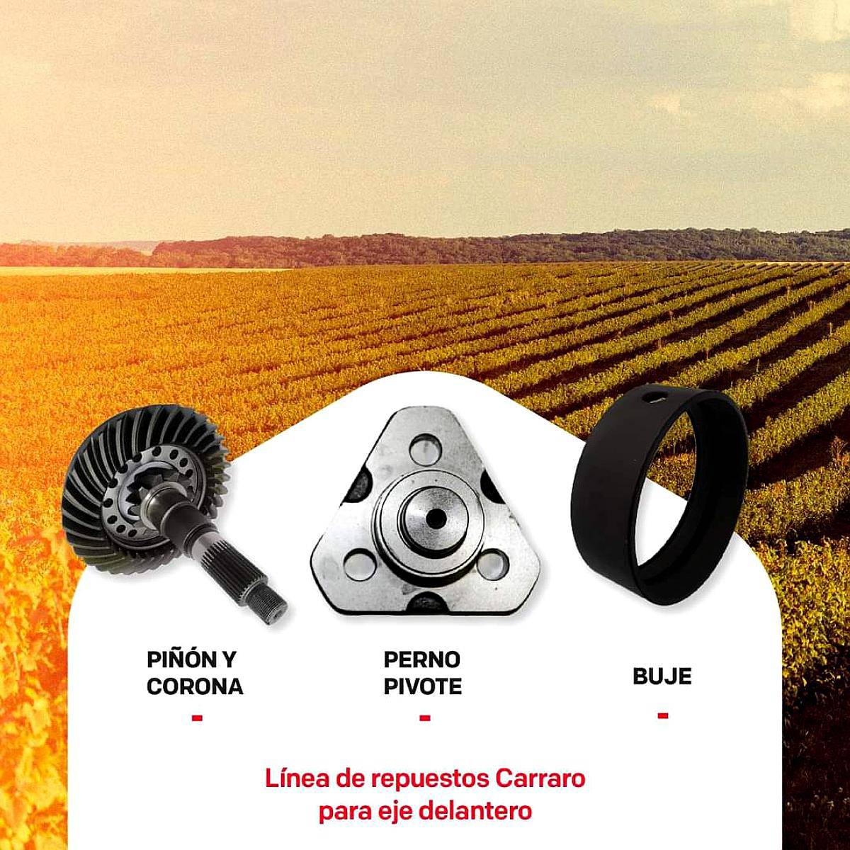 Linea de Repuestos Carraro (eje Delantero)