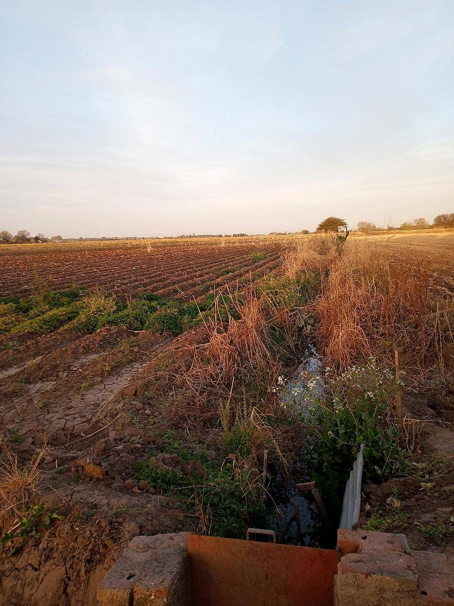 Campo con Riego y Escritura.