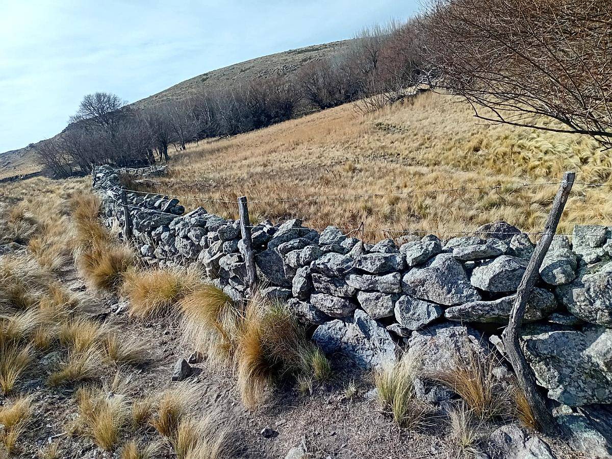 Vendo Campo en la Carolina,san Luis