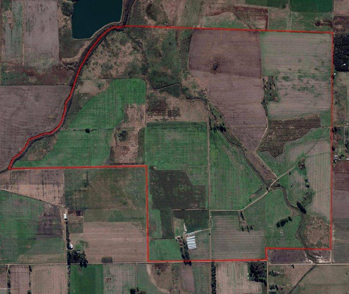 Ba3337 Venta 430 Has Agrícola la Matanza