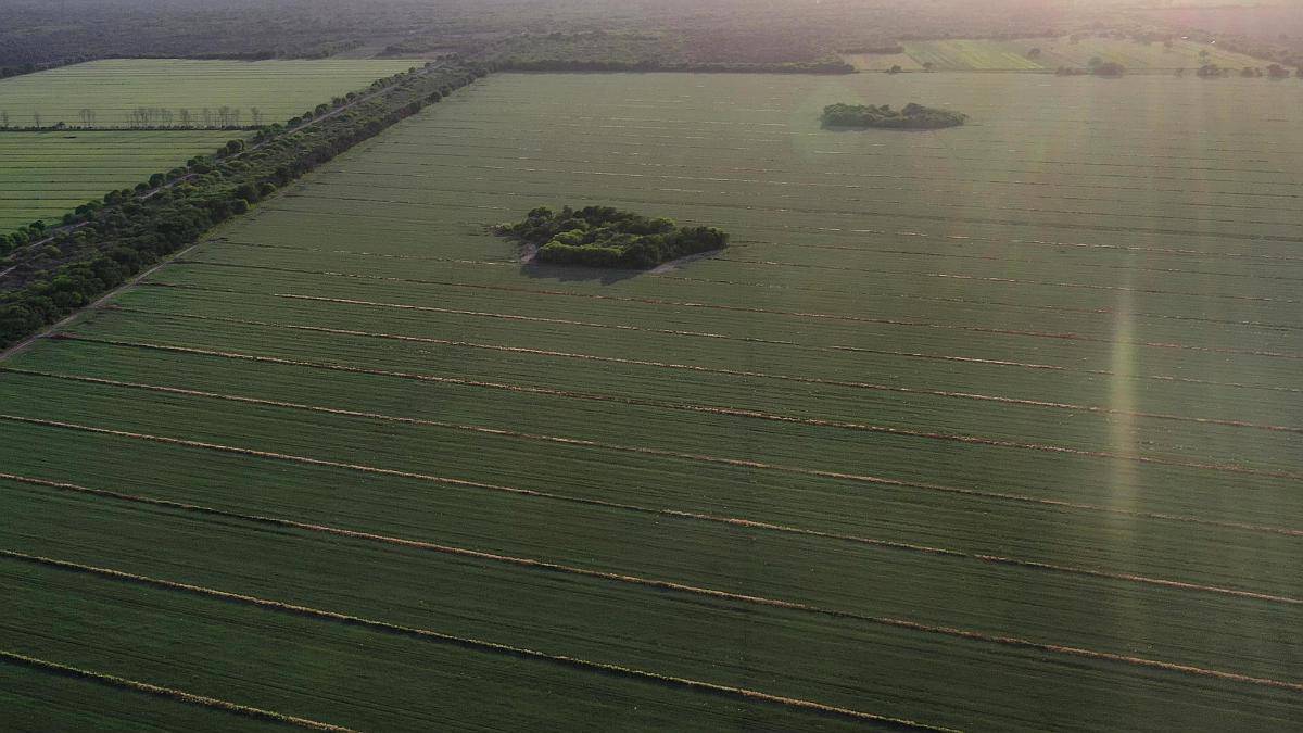 Santiago del Estero 370 Has Bien Agrícolas