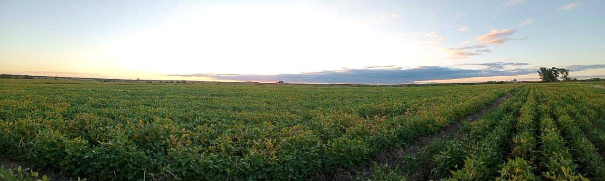 120 Ha en Don Cristobal. Campo Mixto