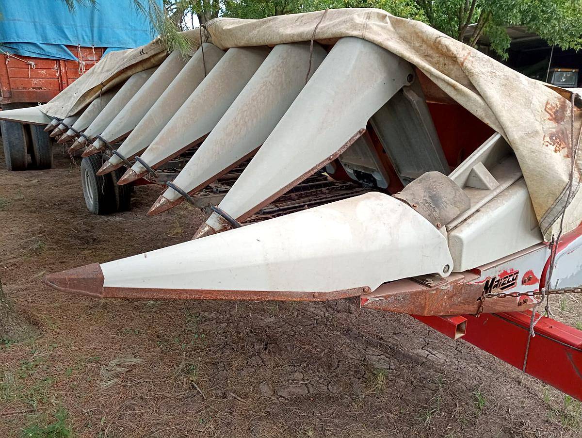 Maicero Maizco de 10 a 52