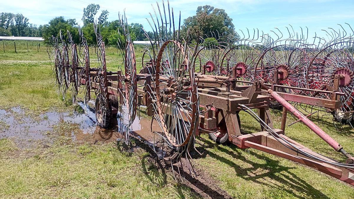 Rastrillo Balina de 14 Estrellas Impecable